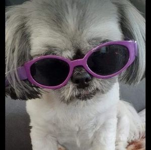 Meet your Posher, Diane